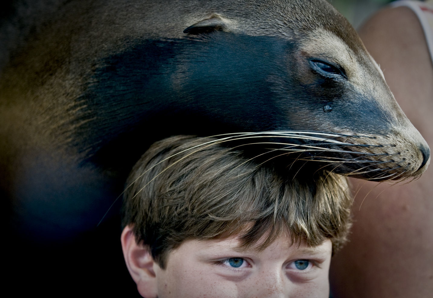 Salem Fair